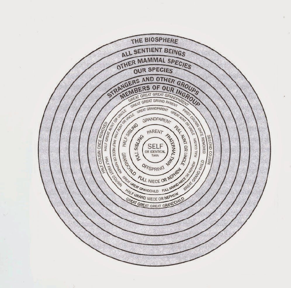 Moral Circle